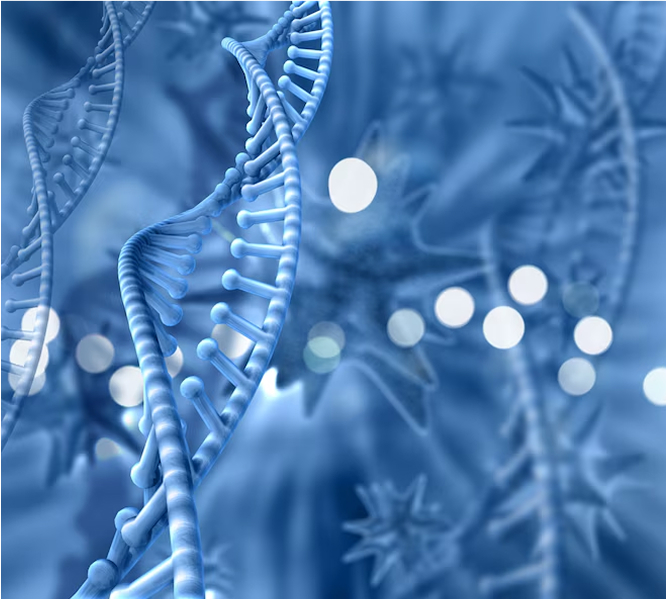 Is Stem Cell Therapy Safe