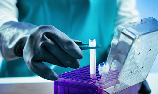 Stem Cell Banking Invest In Your Future Health