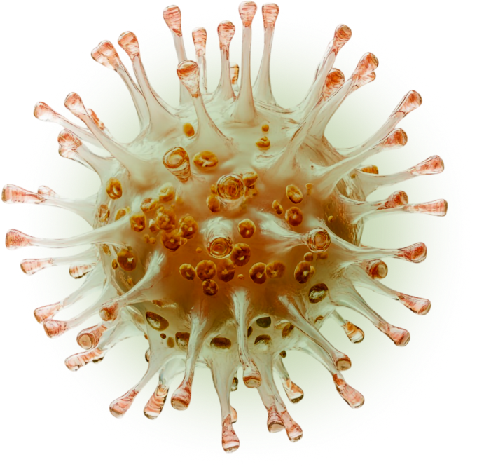 What Are Stem Cells 01