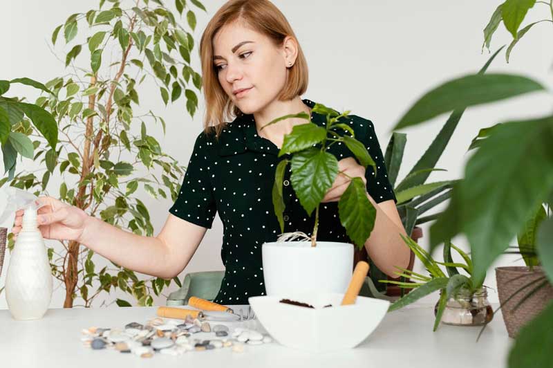 Why Choose Personalized, Natural Detoxification