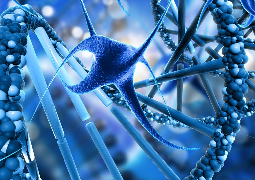 Stemcell Image Feature Img